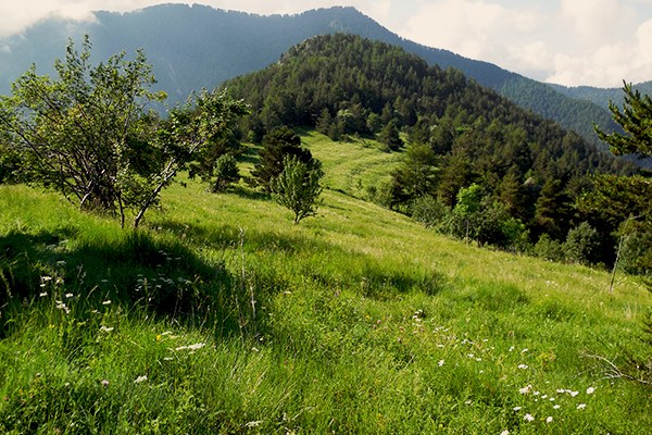 Aufgegebene Landwirtschaftsflächen sind eine Folge der erbrechtlichen Besitzaufteilung in den Südalpen. © Francesco Pastorelli