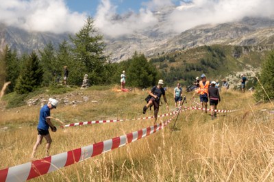 Sporni projekti za obnovljive vire energije