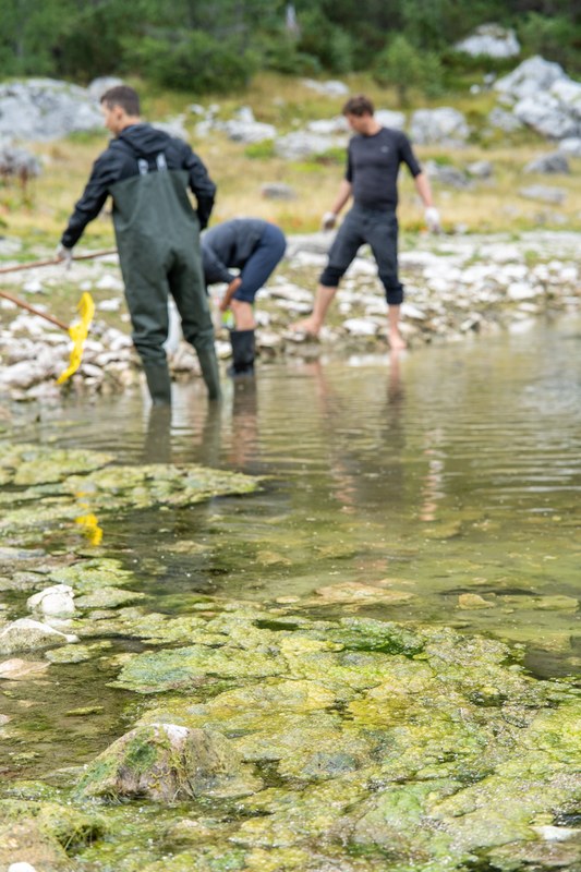 Odstranjevanje alg z Dvojnega jezera, foto: Samo Kham