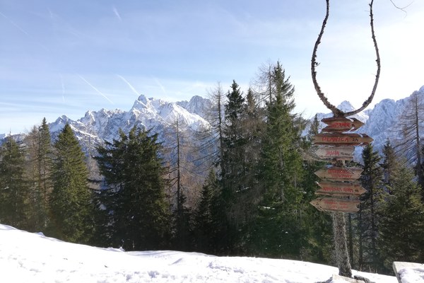 Kranjska Gora, žičnica in petelin - možnosti trajnostnih odločitev